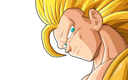HD PC desktop wallpaper featuring Goku in his Super Saiyan 3 form from the anime Dragon Ball Z, showcasing his intense gaze and iconic golden hair.