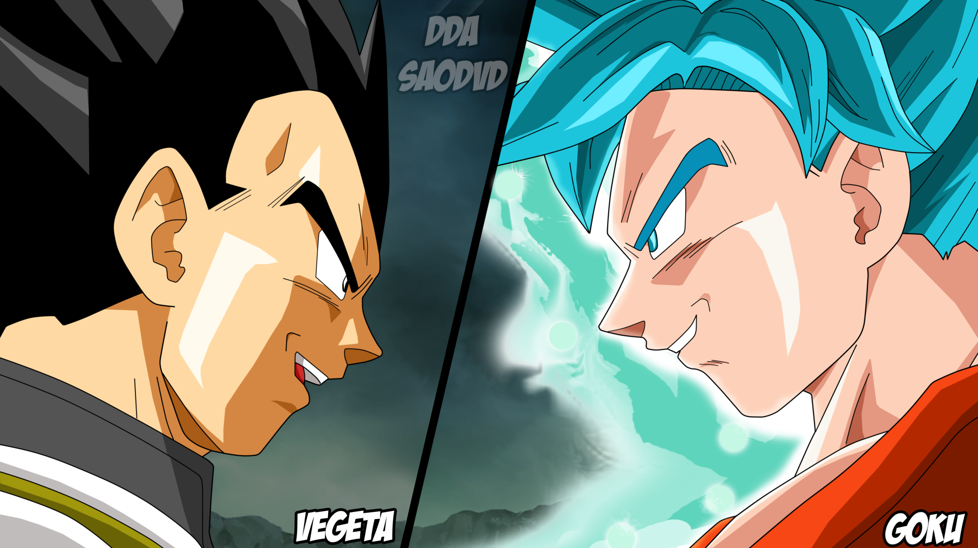 goku and vegeta ssj god