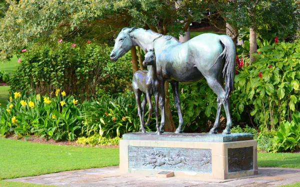 Man-made statue of a horse and foal surrounded by vibrant flowers in the garden at Royal Botanic Gardens, Sydney, captured as an HD desktop wallpaper background.