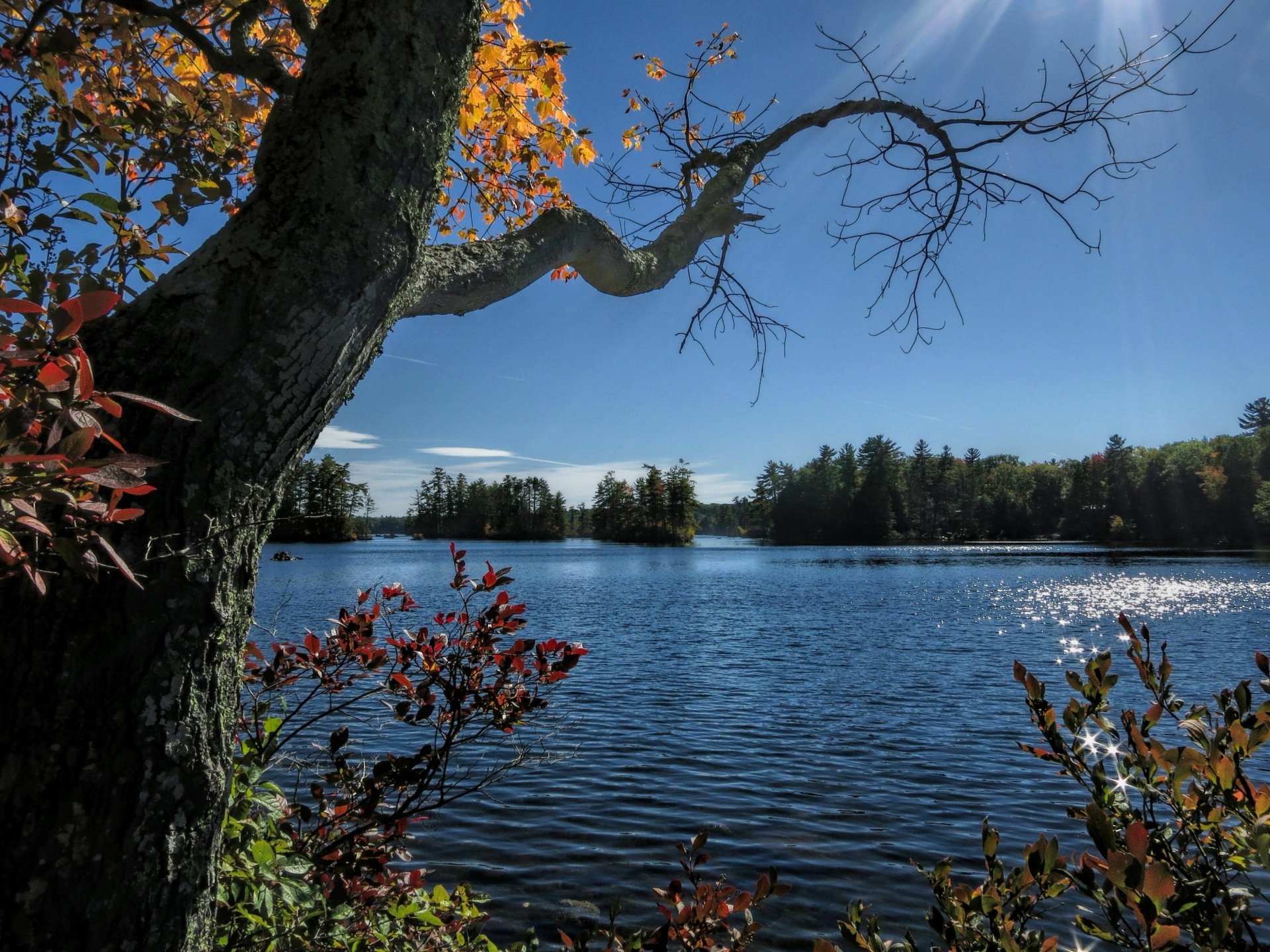 Download Nature Lake 4k Ultra HD Wallpaper