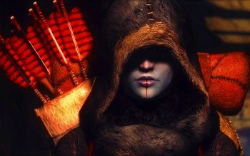 450+ Skyrim 高清壁纸 桌面背景