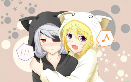 A vibrant HD desktop wallpaper featuring characters Laura Bodewig and Charlotte Dunois from the anime Infinite Stratos, playfully dressed in adorable animal-themed hoodies.