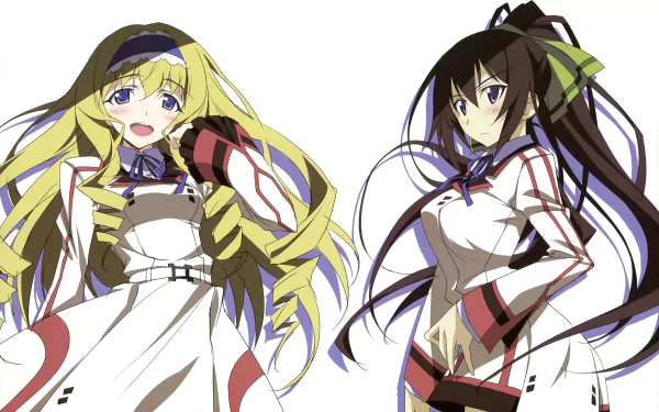 Anime Infinite Stratos HD Desktop Wallpaper | Background Image