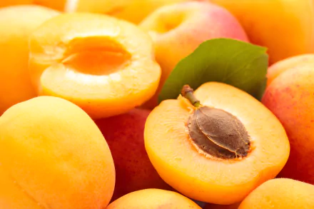 fruit food apricot HD Desktop Wallpaper | Background Image