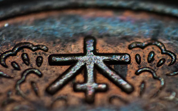 photography close-up HD Desktop Wallpaper | Background Image