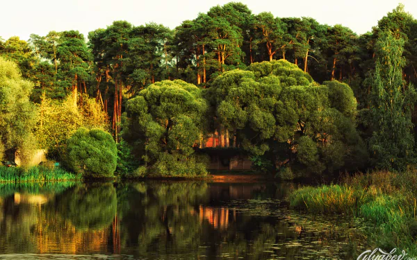 A tranquil lake surrounded by lush greenery and tall trees, reflecting the natural beauty in 4K Ultra HD quality, making it a stunning desktop wallpaper and background.