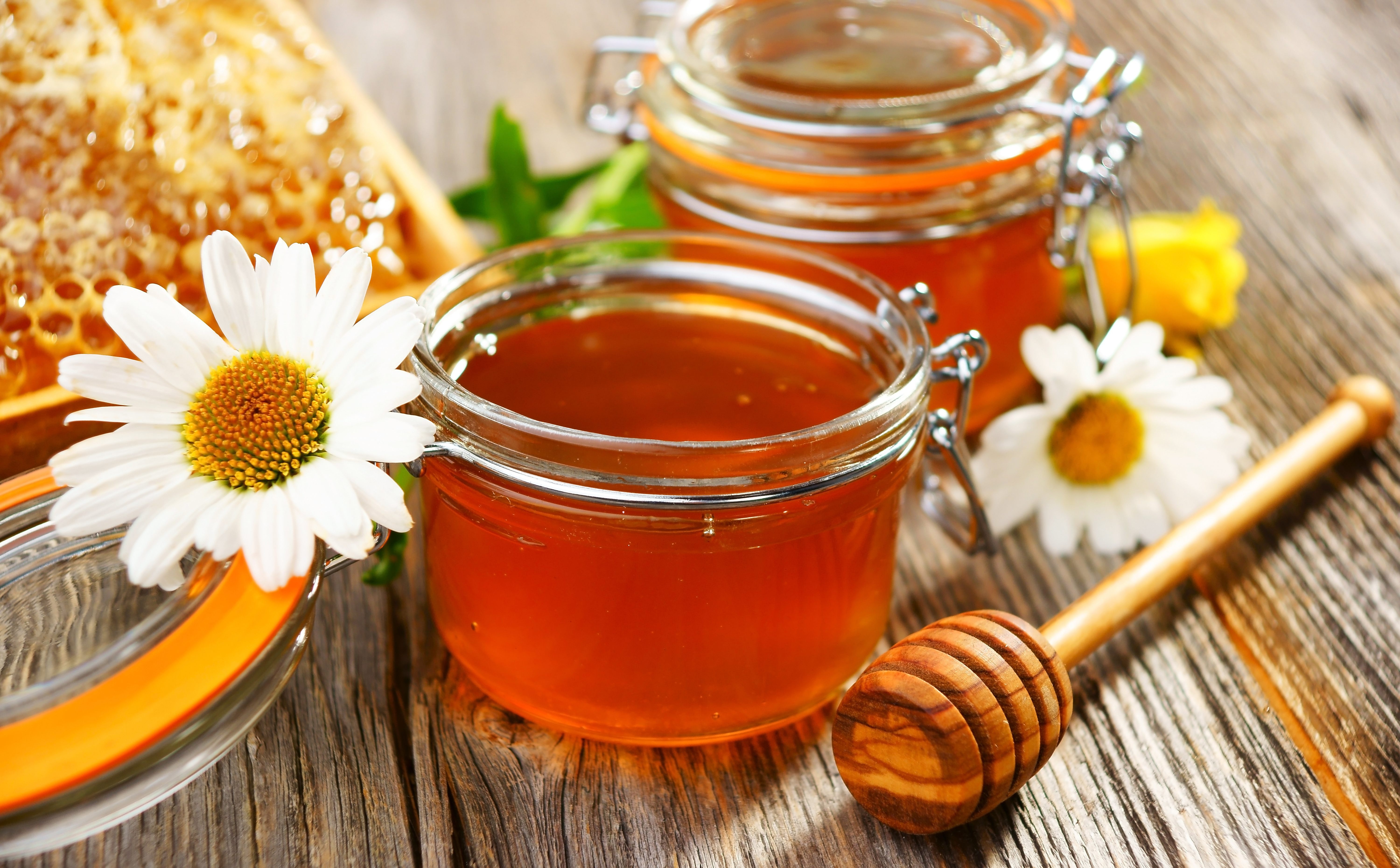 Food Honey HD Wallpaper | Background Image