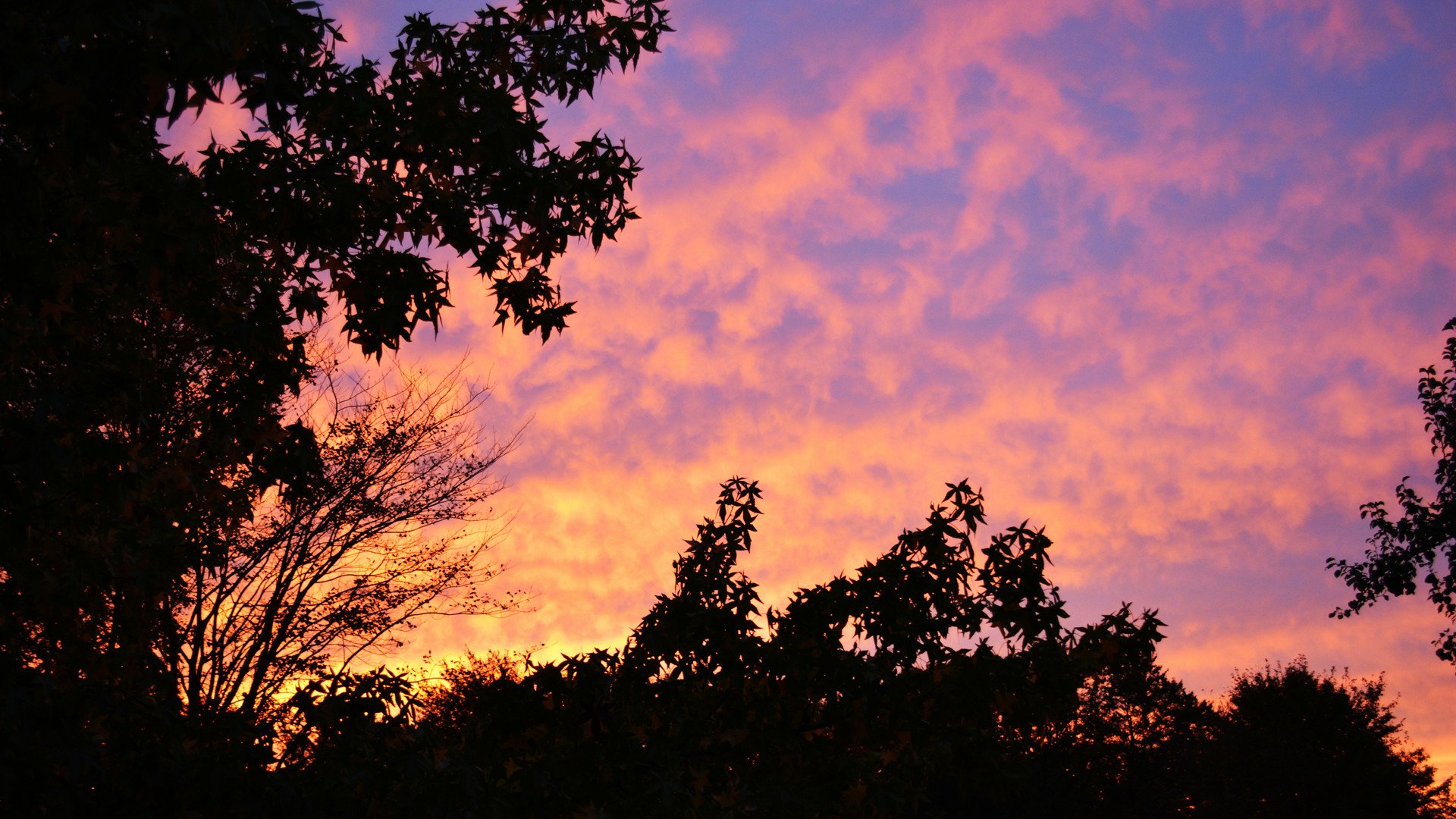 Download Nature Sunset HD Wallpaper