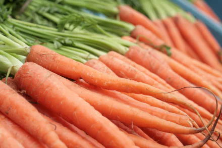 A vibrant display of fresh, orange carrots with green tops, captured in stunning 4K Ultra HD, perfect for a colorful food-themed desktop wallpaper.
