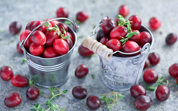 berry food cranberry HD Desktop Wallpaper | Background Image