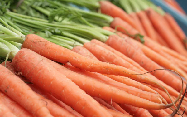 Close-up of fresh carrots with green tops, captured in vibrant 4K Ultra HD clarity, suitable as a PC desktop wallpaper featuring food and carrot themes.