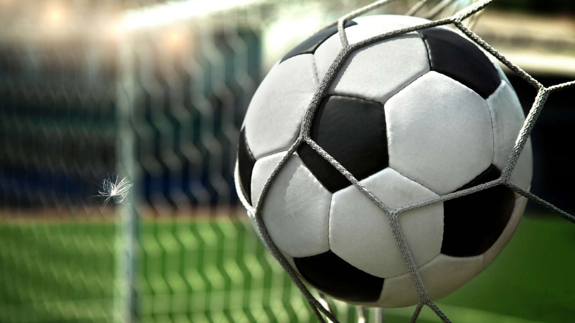 Download Soccer Sports HD Wallpaper 2048x1152 Wallpaper Abyss
