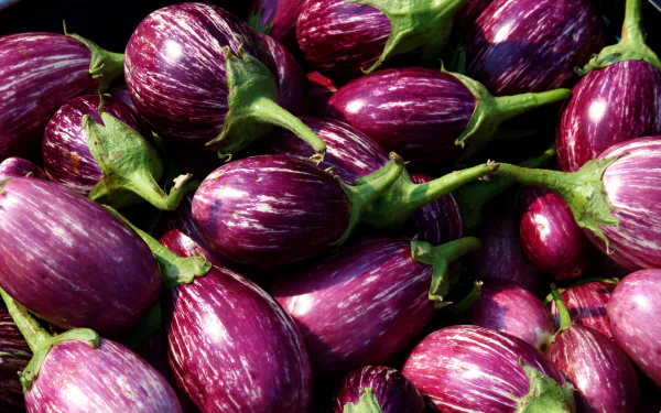 Close-up of striped purple eggplants piled together — a vibrant food image rendered as a 2K Quad HD PC desktop wallpaper background.