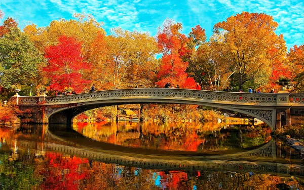 New York Manhattan Bow Bridge reflection tree fall man made bridge HD Desktop Wallpaper | Background Image