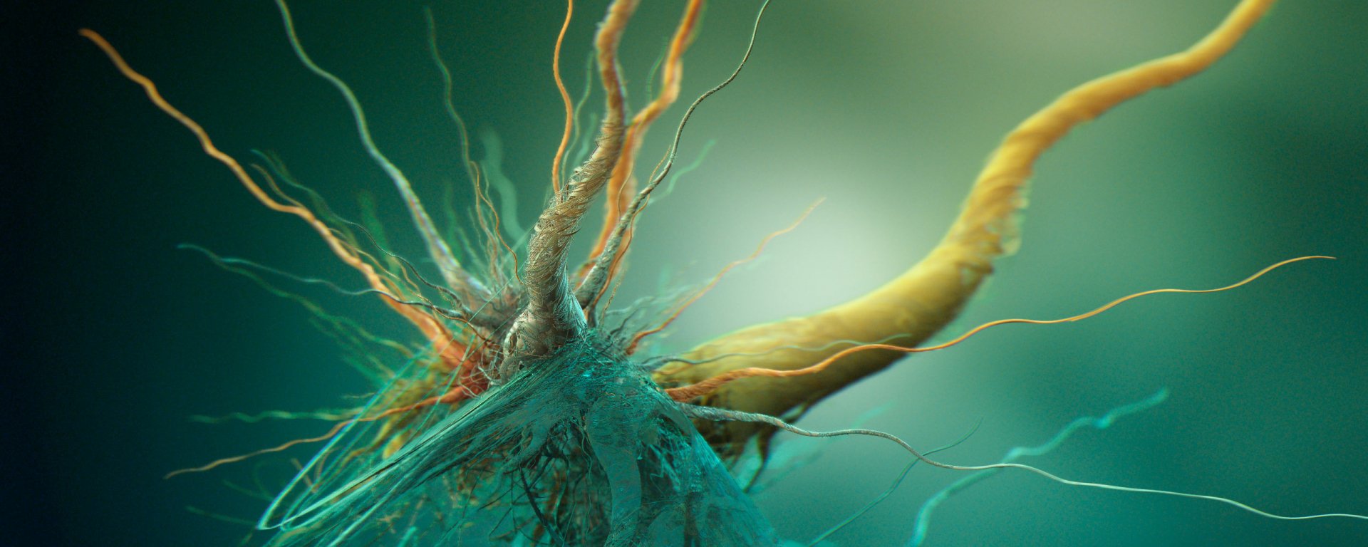 An abstract HD desktop wallpaper featuring vibrant, intertwining threads and forms, creating an artistic representation of organic shapes and fluid movement.