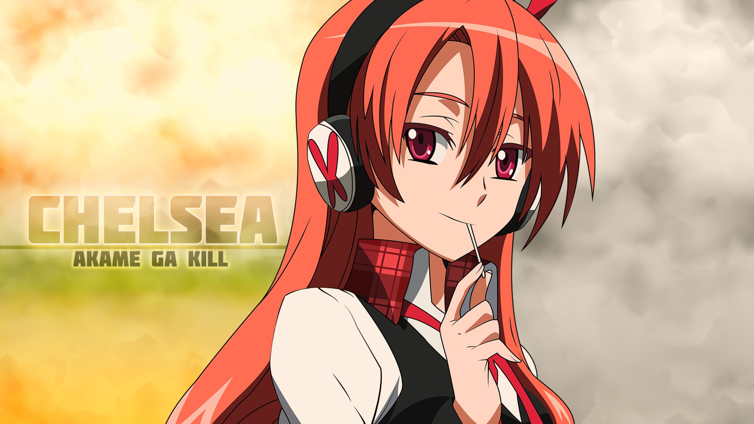 Anime Akame ga Kill! HD Wallpaper by drag009