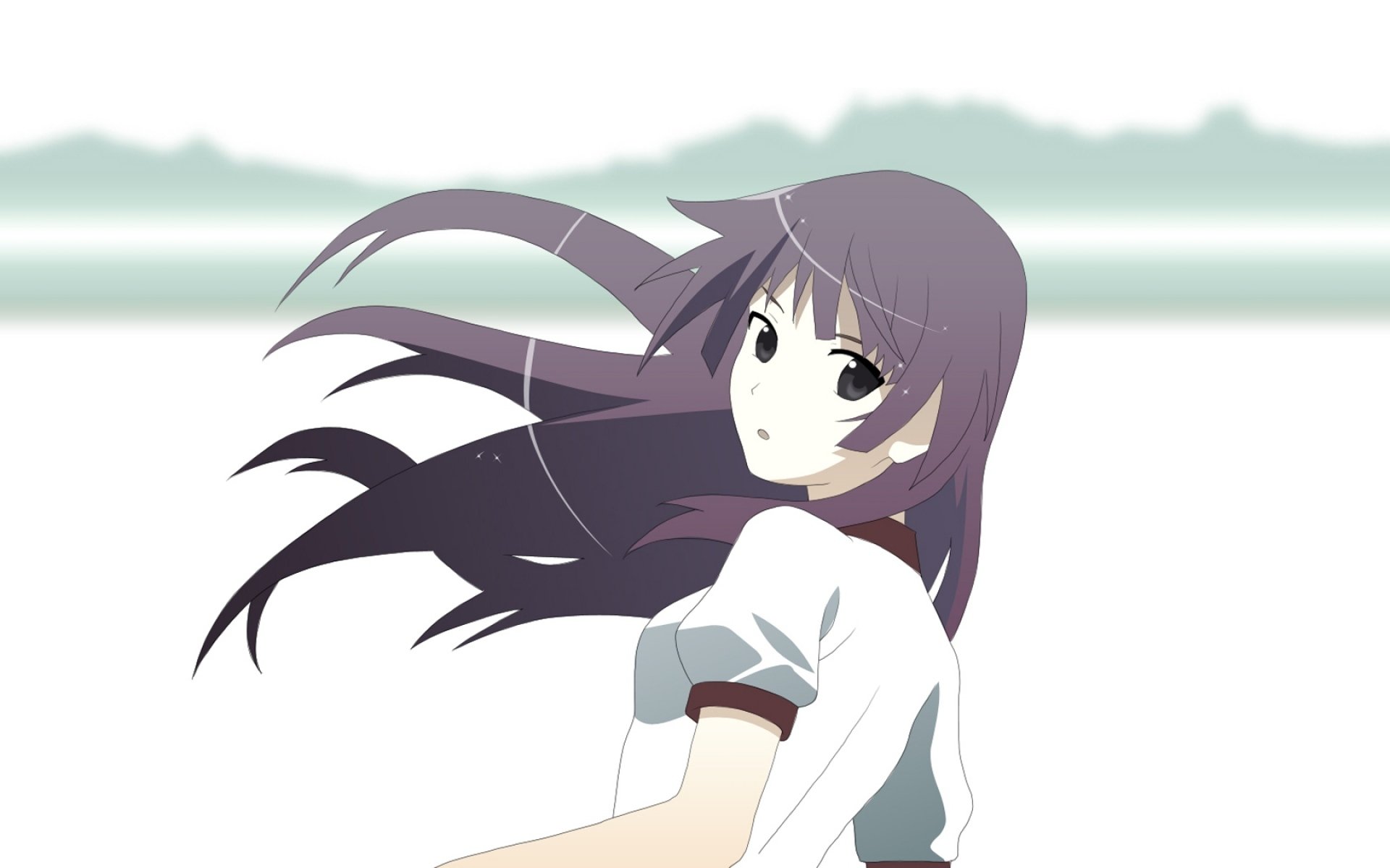 HD anime desktop wallpaper featuring Hitagi Senjōgahara from the Monogatari series, with her purple hair flowing against a minimalist, light background.