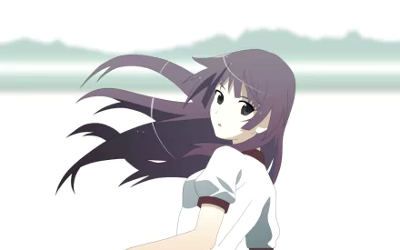 HD anime desktop wallpaper featuring Hitagi Senjōgahara from the Monogatari series, with her purple hair flowing against a minimalist, light background.