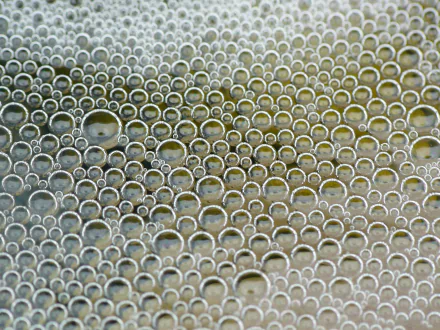photography bubble HD Desktop Wallpaper | Background Image