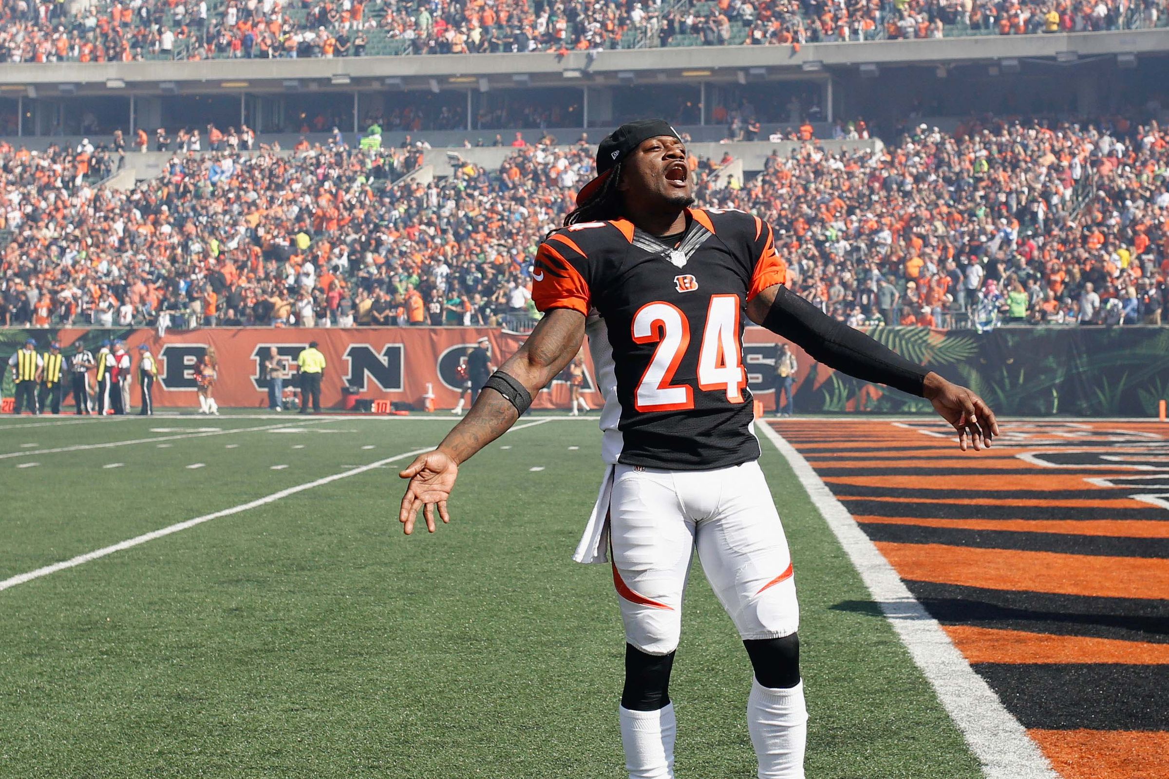 Sports Cincinnati Bengals HD Wallpaper