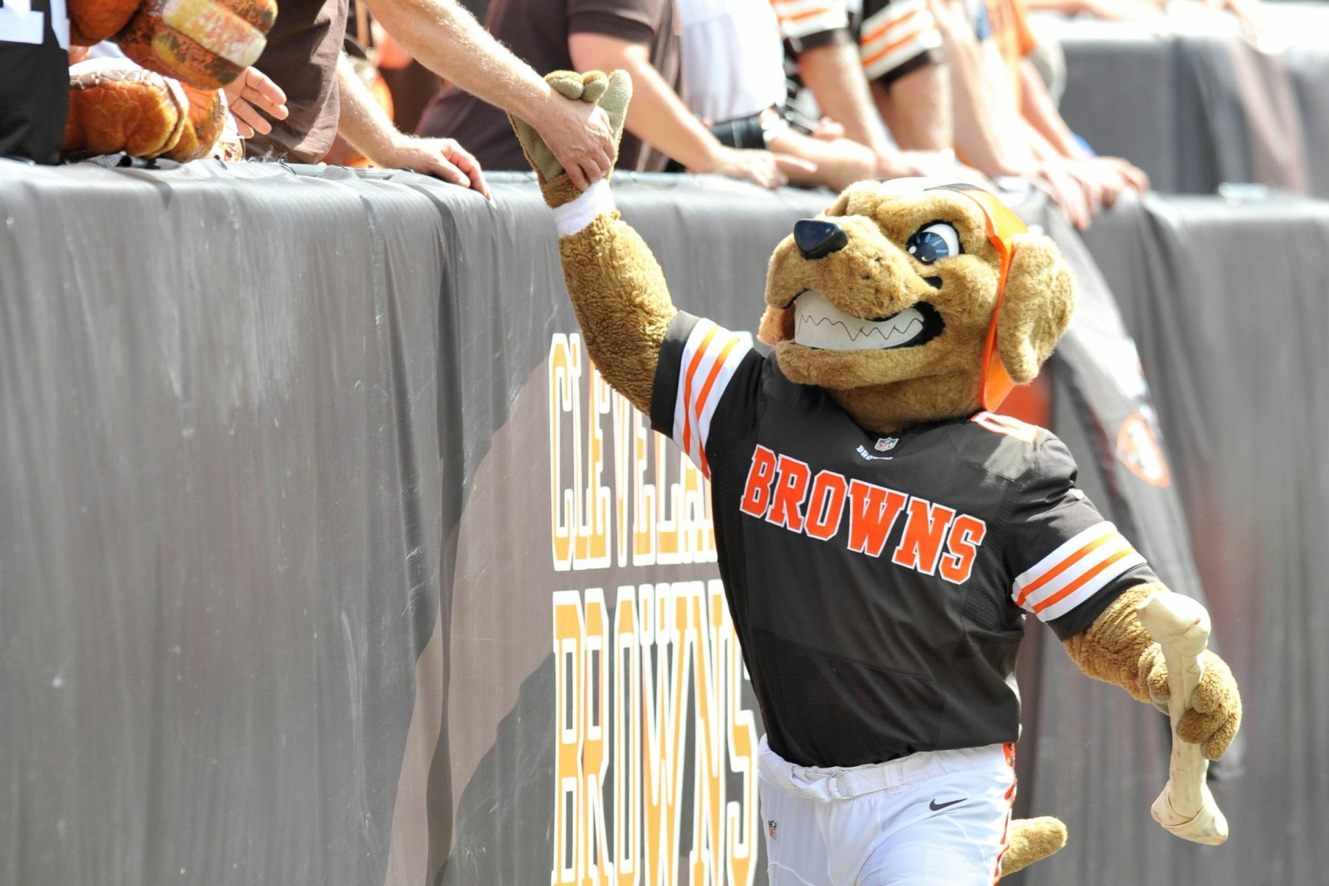 Download Cleveland Browns Sports HD Wallpaper