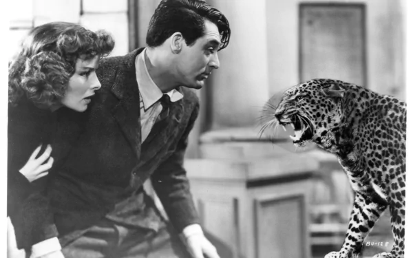 Comic Bringing Up Baby HD Desktop Wallpaper | Background Image