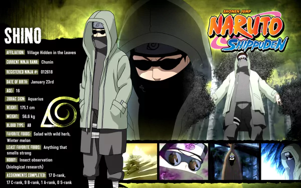 Shino Aburame Anime Naruto HD Desktop Wallpaper | Background Image
