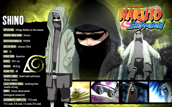 HD desktop wallpaper and background featuring Shino Aburame from the anime Naruto, with comprehensive character information and images showcasing various scenes and abilities.