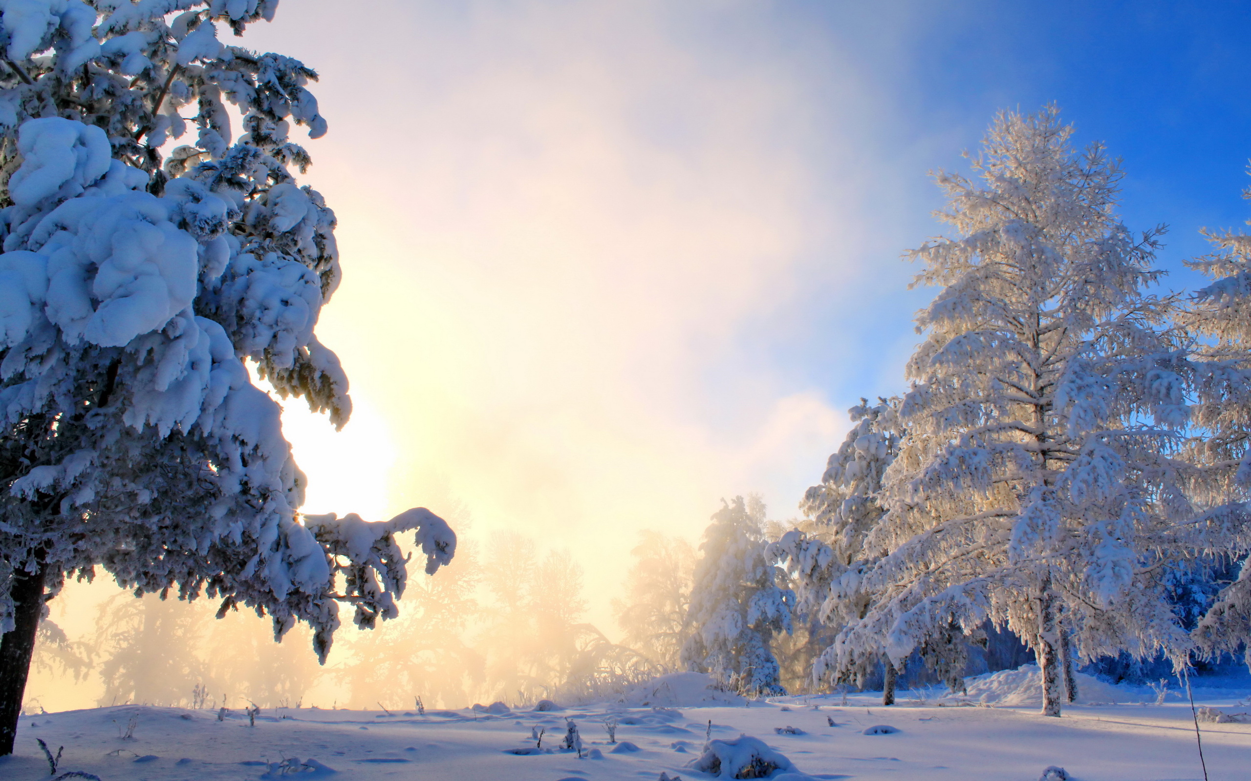 Winter HD Wallpaper