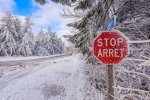 Preview Winter