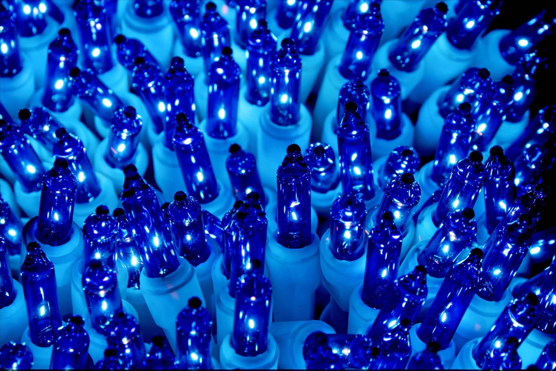 Close-up of vibrant blue Christmas holiday lights glowing in 4K Ultra HD, creating a festive and bright PC desktop wallpaper background.