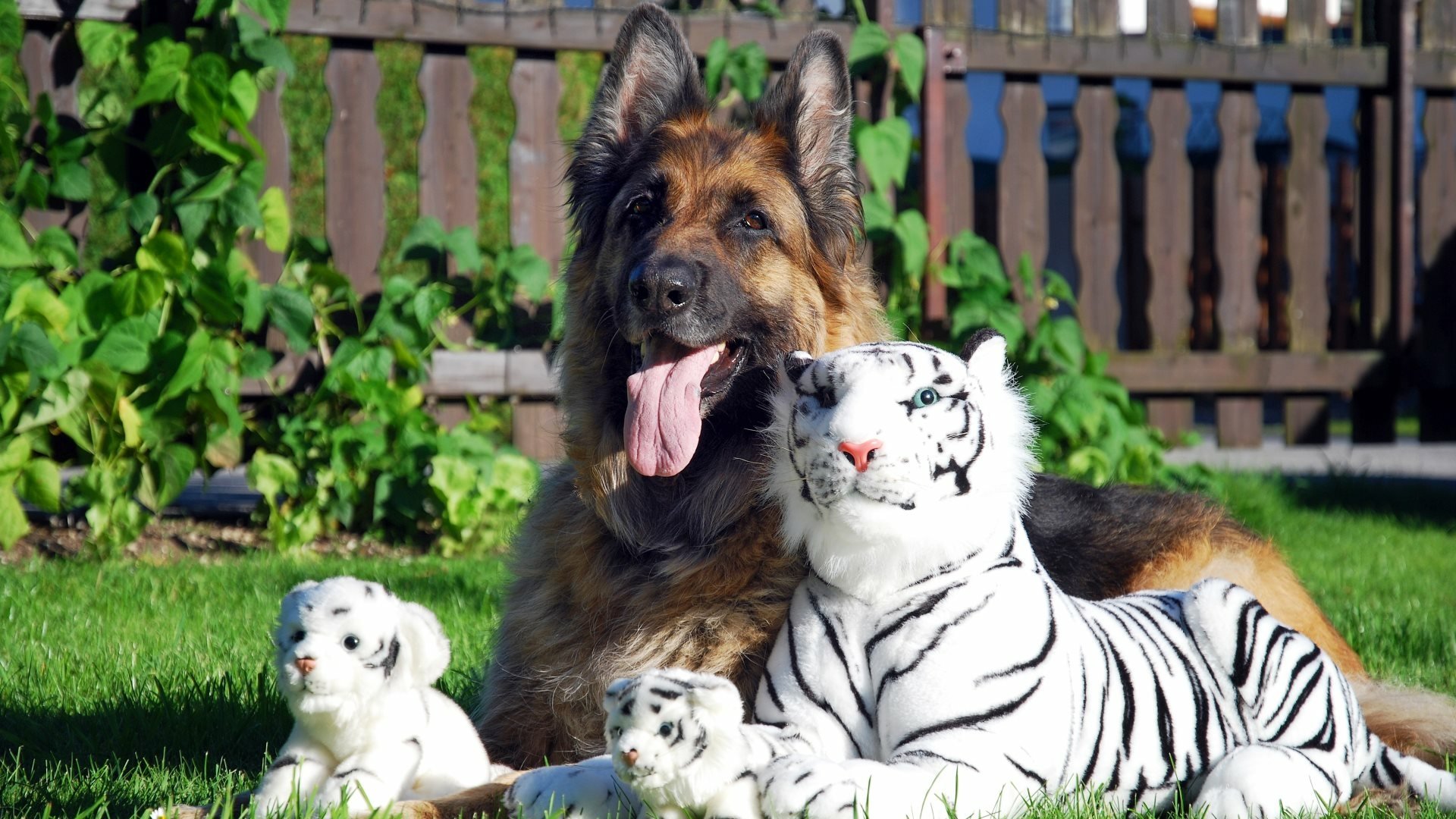 long haired german shepherd stuffed animal