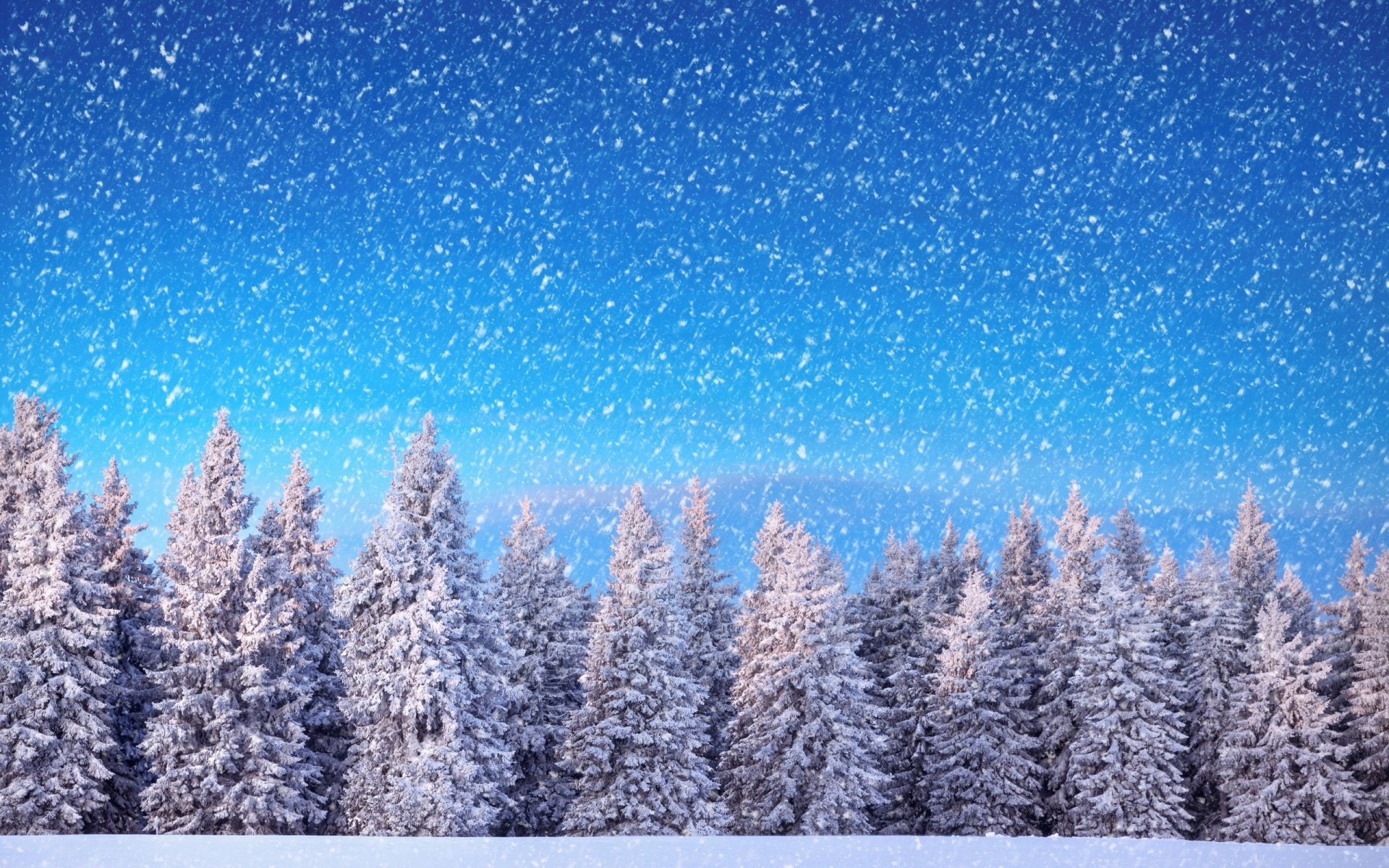 Download Snowfall Pine Tree Snow Tree Nature Winter HD Wallpaper