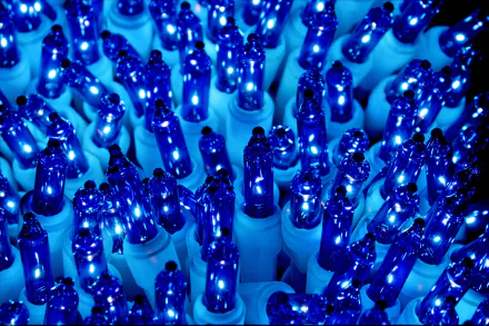 Close-up of vibrant blue Christmas holiday lights glowing in 4K Ultra HD, creating a festive and bright PC desktop wallpaper background.