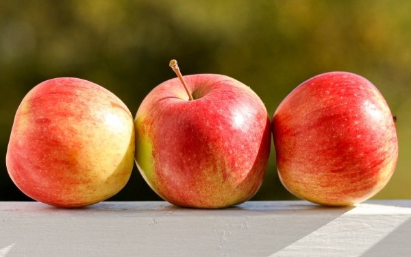 Food Apple Fruits Fruit HD Wallpaper | Background Image