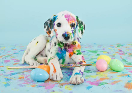 A colorful Dalmatian puppy sits amidst vibrant splashes of paint and pastel eggs, captured as an HD desktop wallpaper that brings joy and playfulness to any screen.