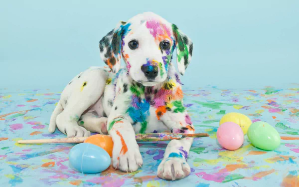 A colorful Dalmatian puppy sits amidst vibrant splashes of paint and pastel eggs, captured as an HD desktop wallpaper that brings joy and playfulness to any screen.
