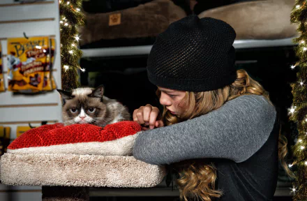  Grumpy Cat