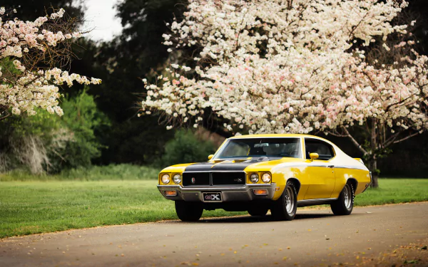 car muscle car yellow car Buick vehicle Buick GSX HD Desktop Wallpaper | Background Image