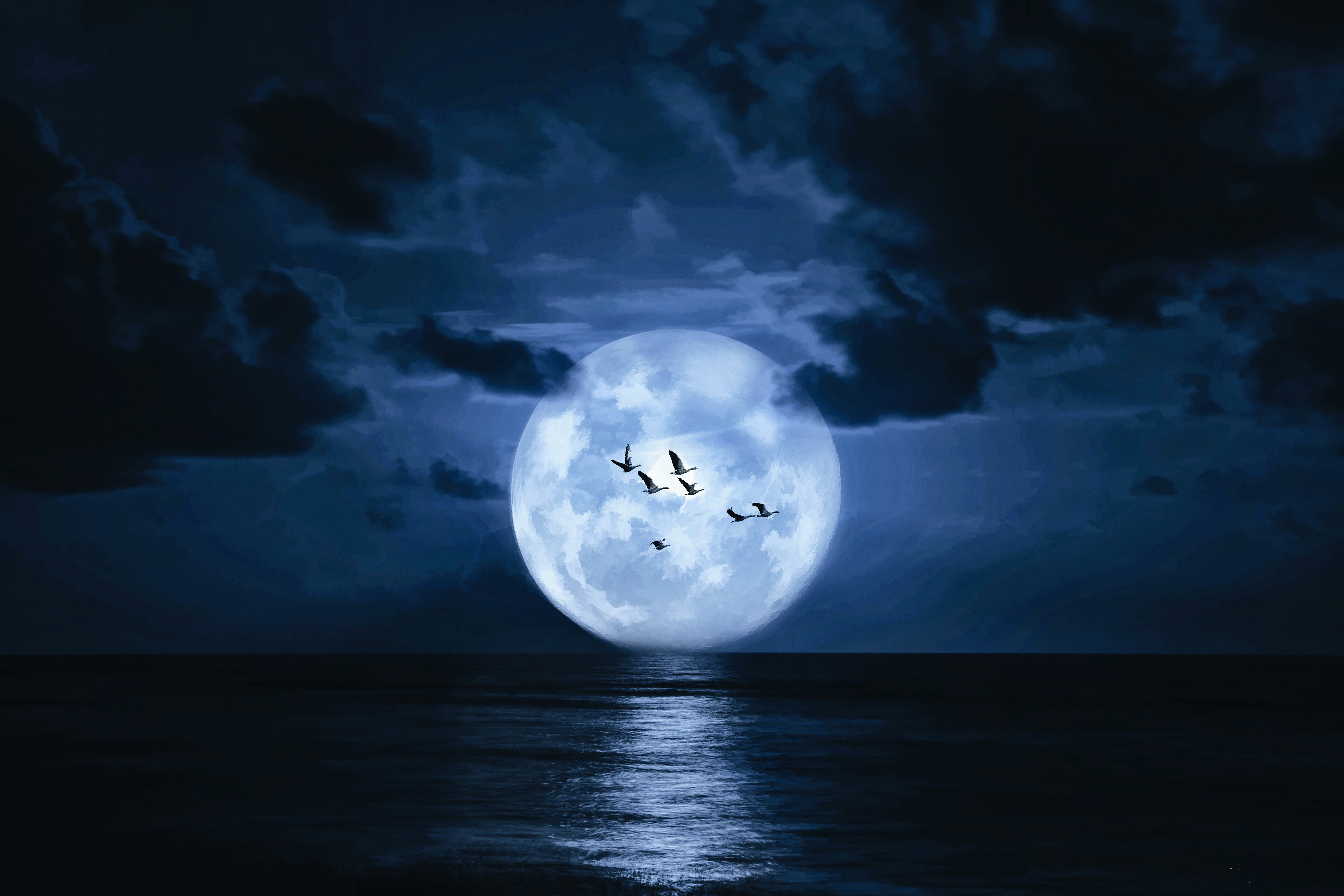 10 Fantasy Moon HD Wallpapers And Backgrounds