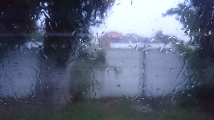 A captivating close-up of rain on a window, blurring the view of a fence and greenery outside, creating a serene, atmospheric backdrop for HD desktop wallpaper.