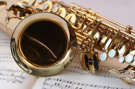  The Saxophone is a woodwind instrument