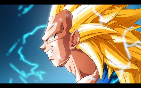 Anime Dragon Ball Z Dragon Ball Vegeta HD Wallpaper | Background Image
