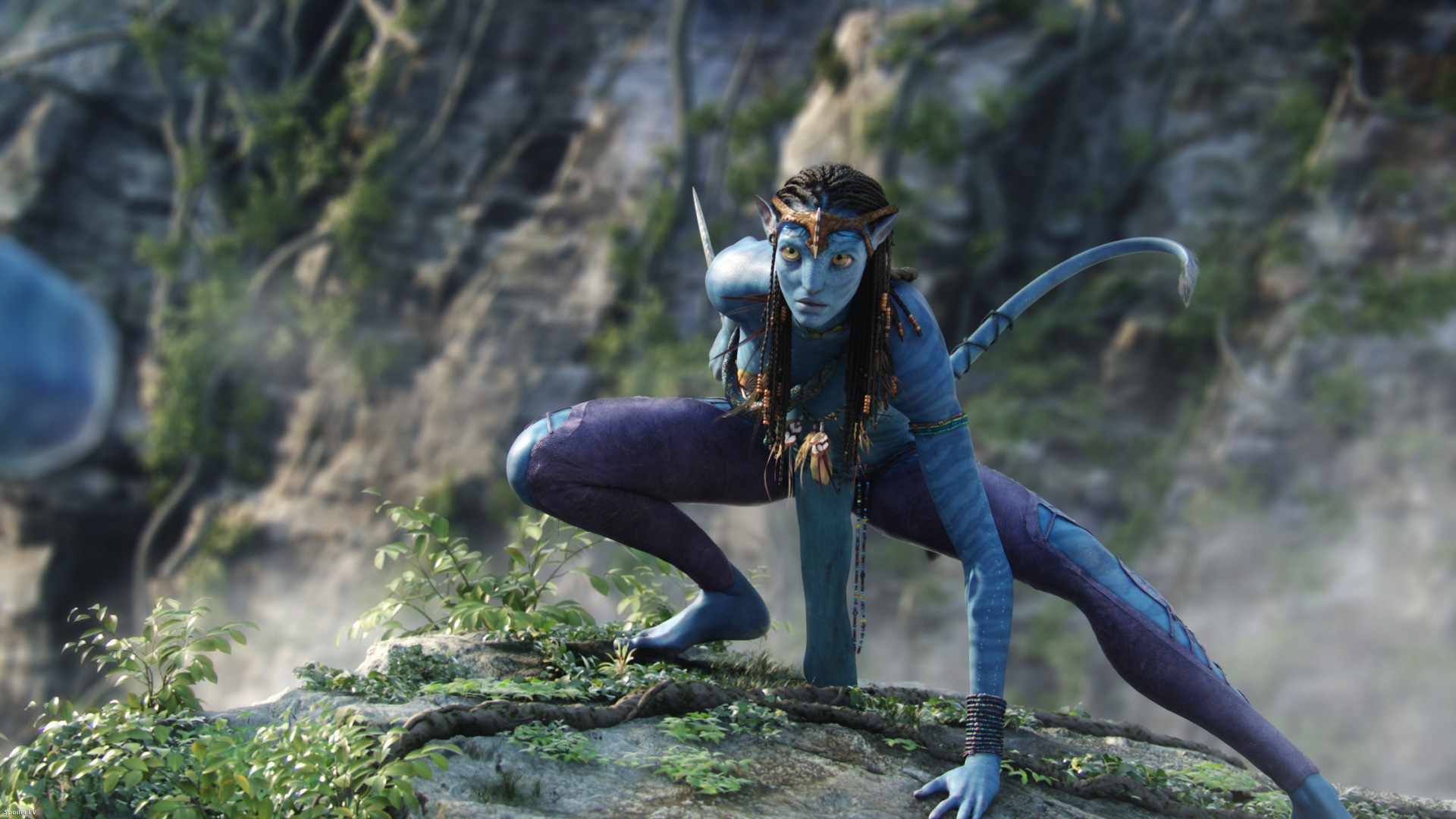 Download Movie Avatar HD Wallpaper