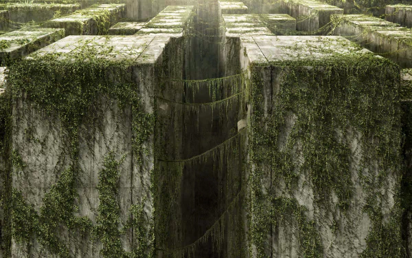 A cinematic HD wallpaper from The Maze Runner, featuring a vast, overgrown maze with towering stone walls and a mysterious crevice in the center, evoking a sense of adventure.