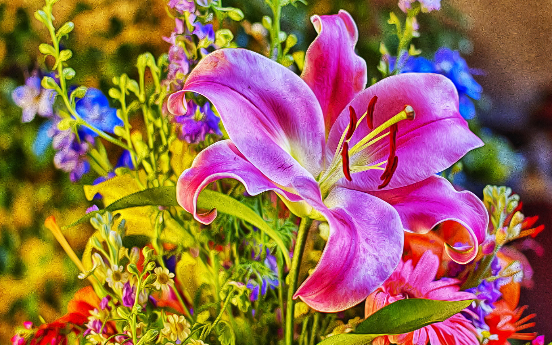 Beautiful Lily Flowers Wallpapers