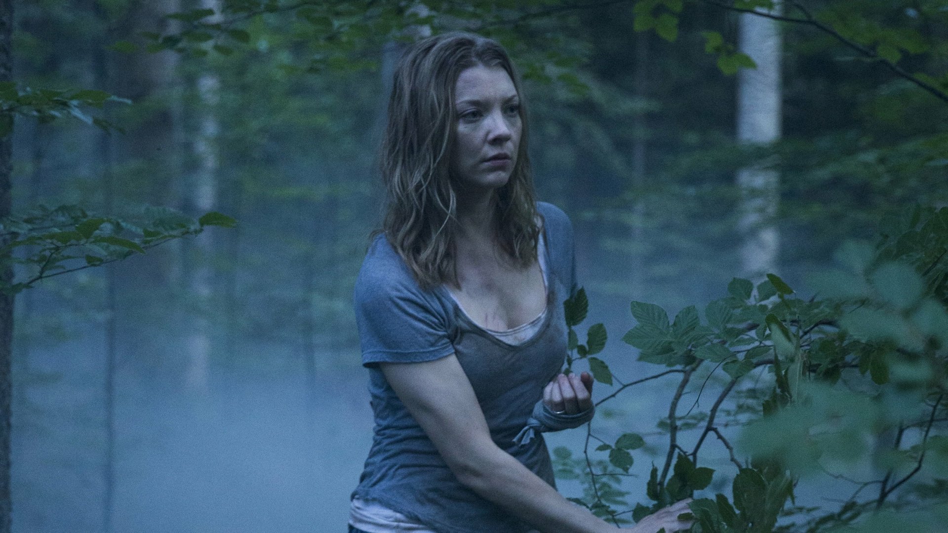 Natalie Dormer as a character in the movie The Forest, set in a misty, dense woodland, featured in an HD PC desktop wallpaper and background.