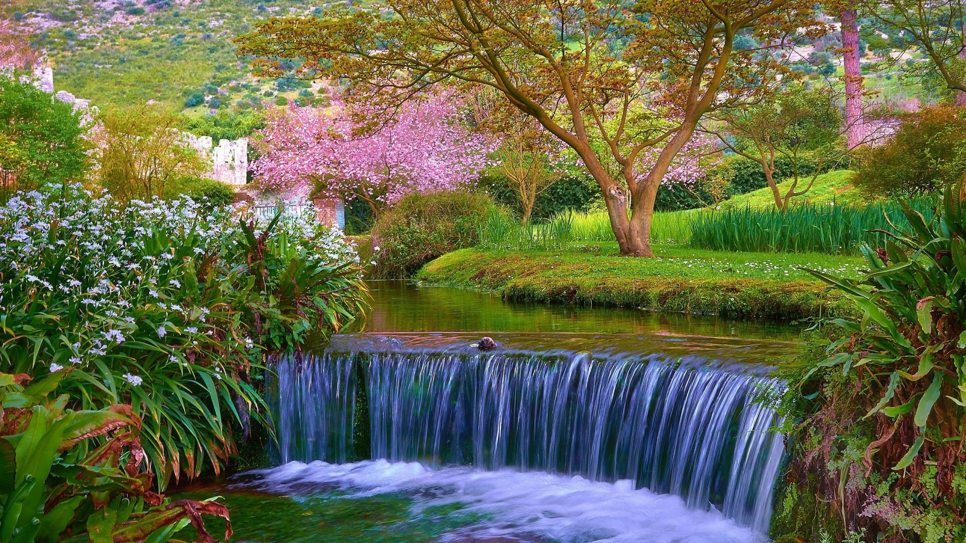 Waterfall in Park Full HD Fond d’écran and Arrière-Plan | 2560x1440