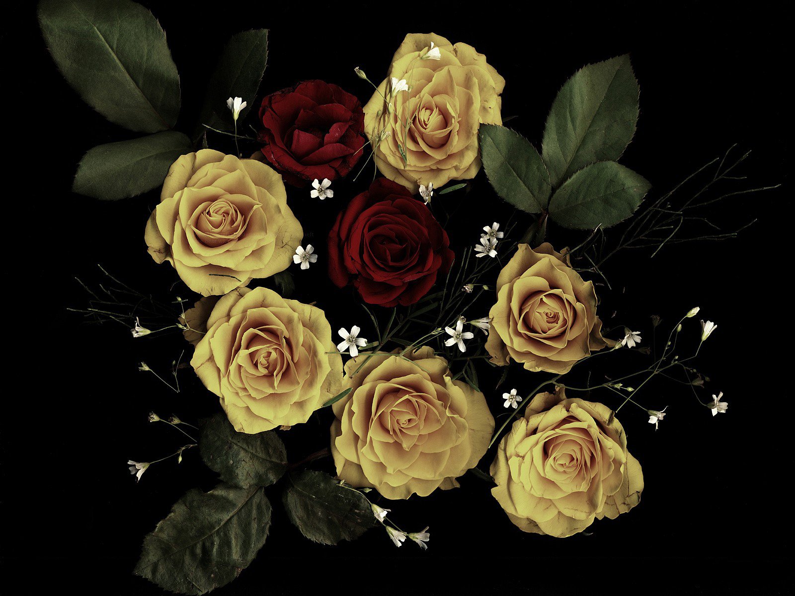 1600x1200 Gothic Roses Wallpaper Background Image. 