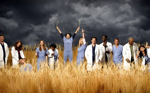 Desktop wallpaper featuring the cast of TV show Grey's Anatomy standing in a wheat field with a dramatic cloudy sky backdrop.